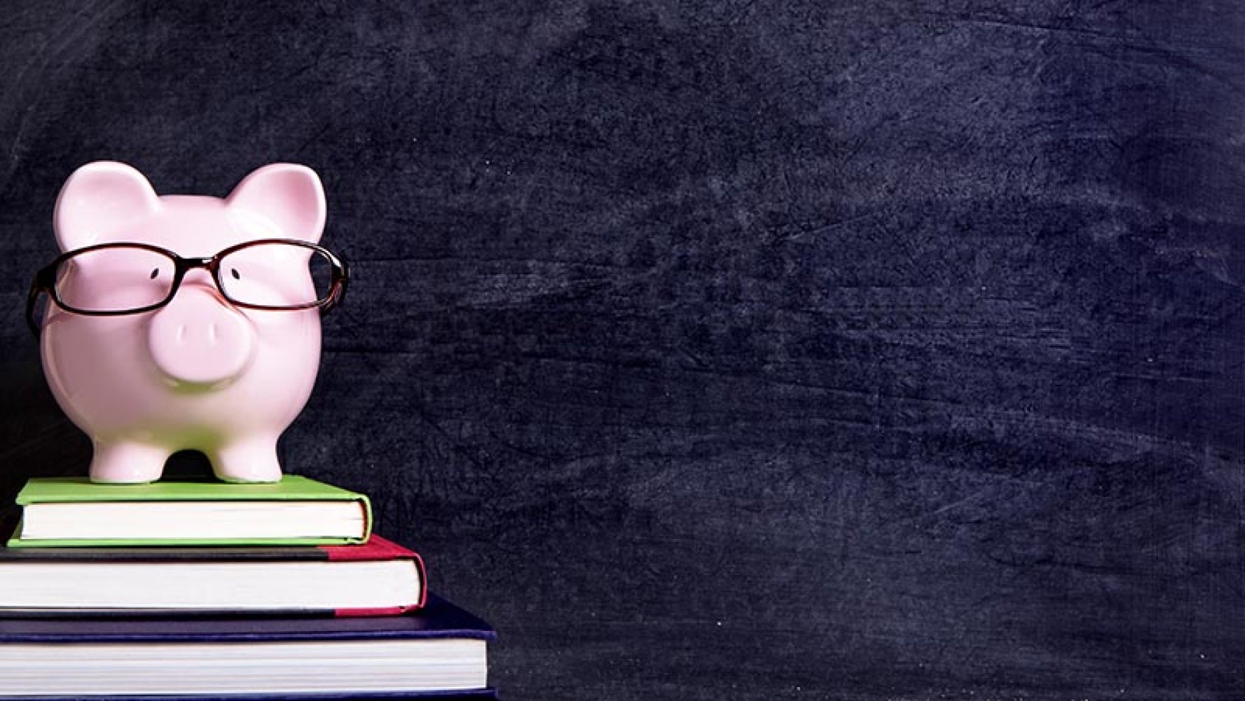 Sparegris. Skolebøker.