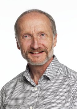 Johan Mattsson, Fagsjef i Mycoteam