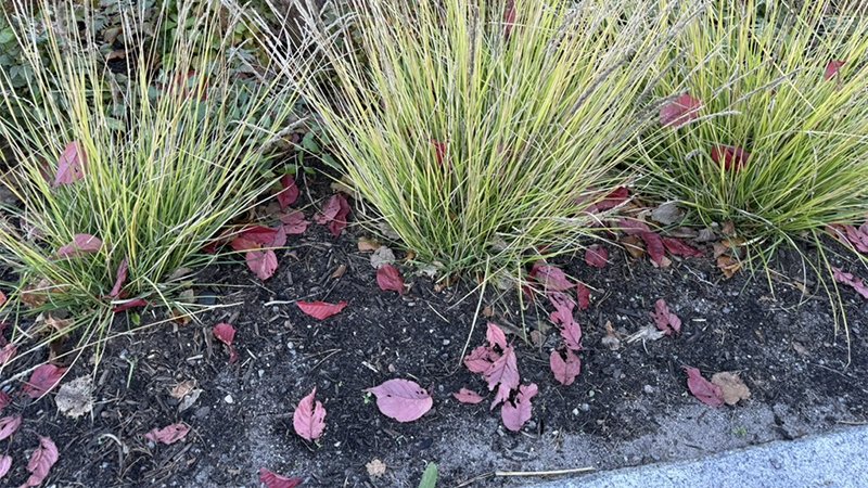 Lite kontormiljø i møte.