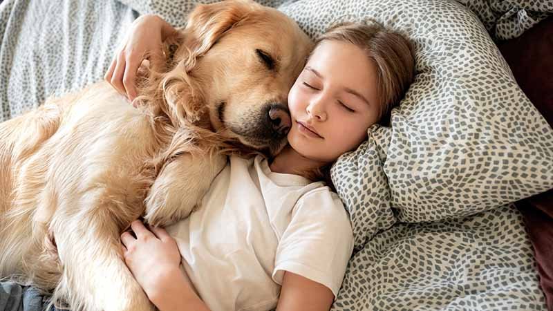 Ung jente som sover sammen med hunden sin