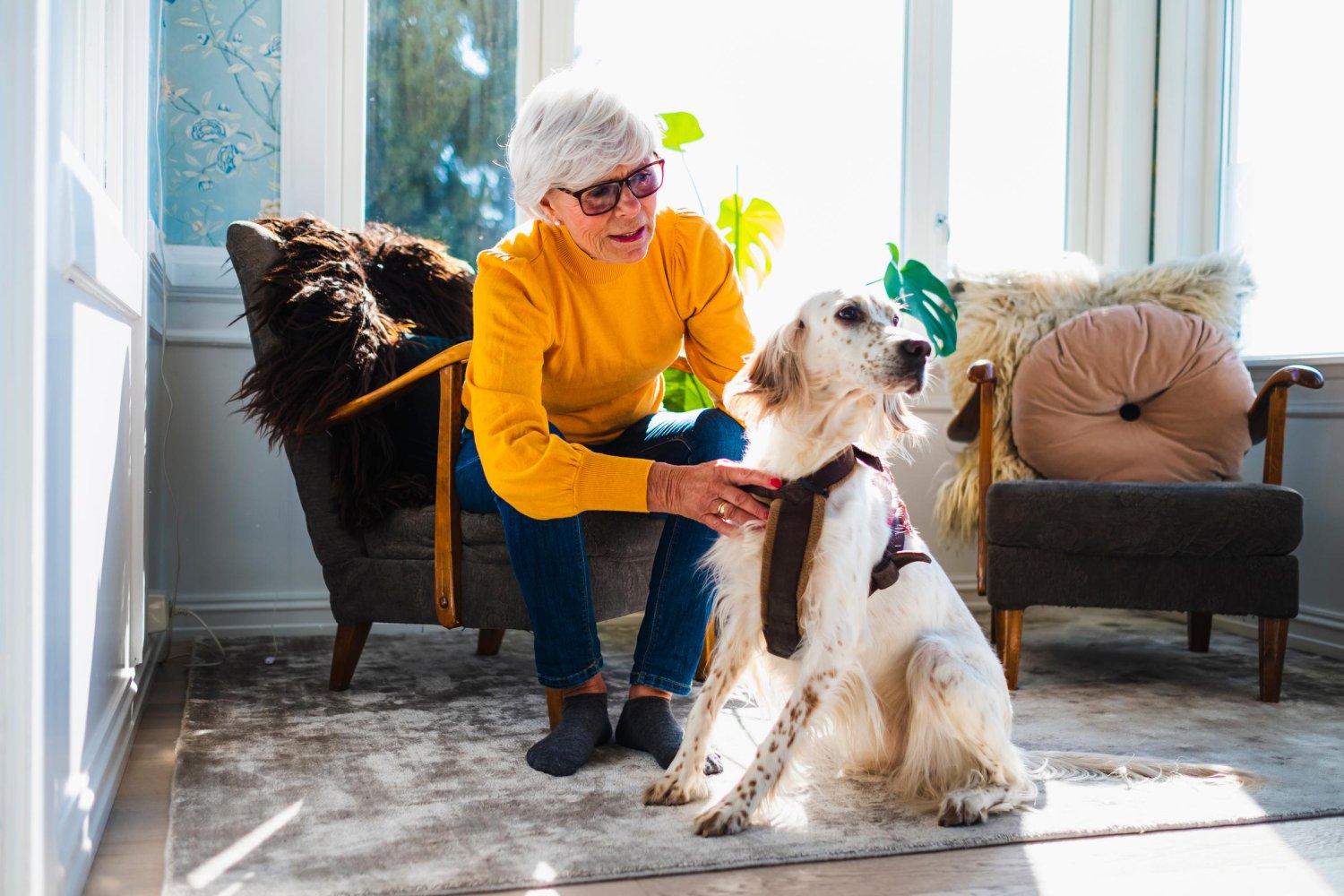 Nå kan du enkelt få hjelp fra veterinær fra ditt eget hjem