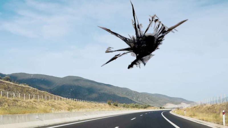 En stor steinsprutskade i frontruta på en personbil.